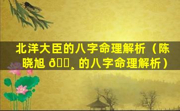 北洋大臣的八字命理解析（陈晓旭 🕸 的八字命理解析）